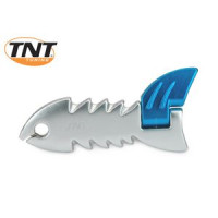 TNT Kickstarter Fish Zilver Piaggio Scooter