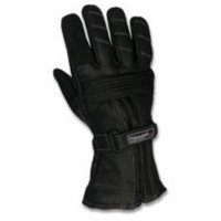 Thinsulate Winter Glove (Maat L)