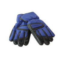 Winterhandschoenen Zwart/Blauw (XL)